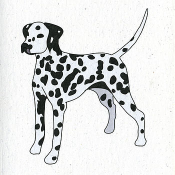 Illustrated Dalmatian Blank Card, 2 of 4