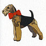 Illustrated Airedale Blank Card, thumbnail 2 of 4