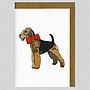 Illustrated Airedale Blank Card, thumbnail 1 of 4