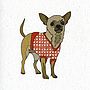 Illustrated Chihuahua Blank Card, thumbnail 2 of 2