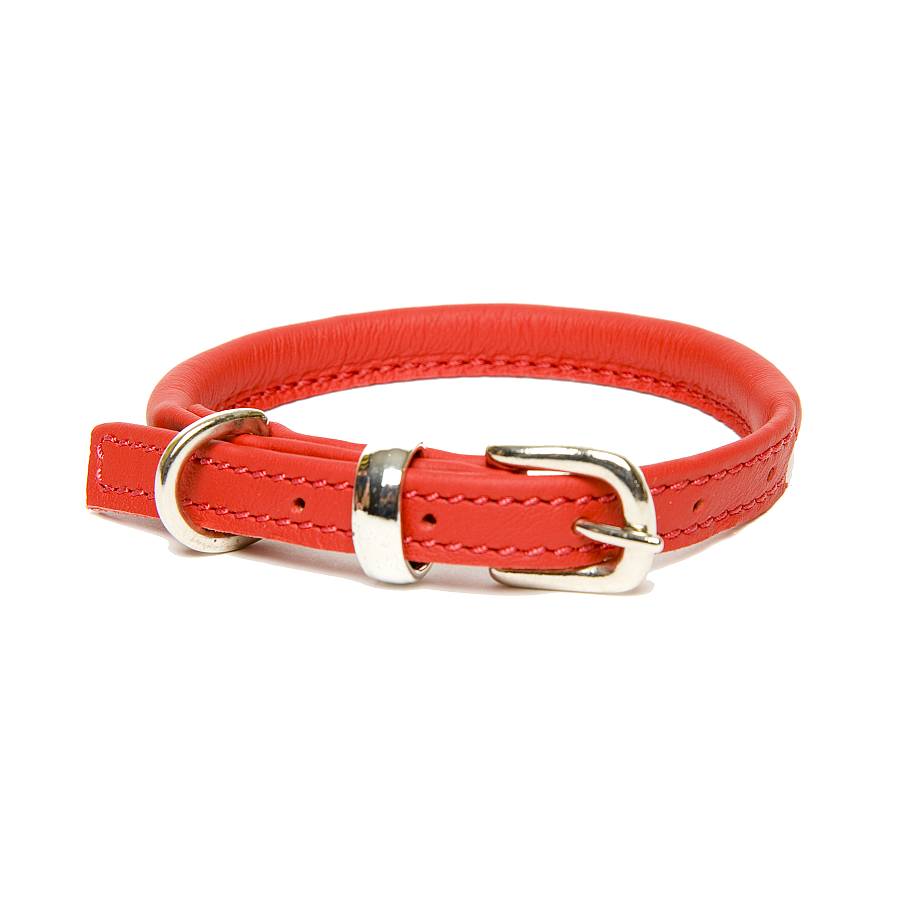 rolled leather dog collar by dogs & horses | notonthehighstreet.com