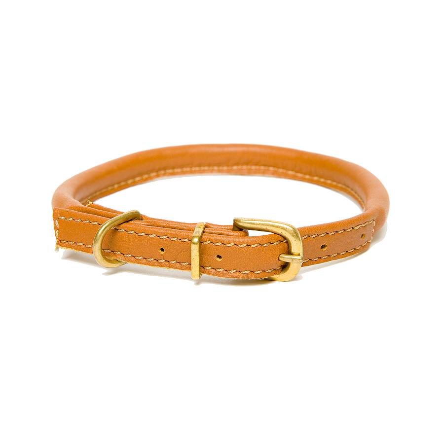 rolled leather dog collar by dogs & horses | notonthehighstreet.com