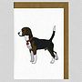 Illustrated Beagle Blank Card, thumbnail 1 of 4
