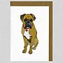 Illustrated Boxer Dog Blank Card, thumbnail 1 of 4