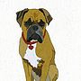Illustrated Boxer Dog Blank Card, thumbnail 2 of 4