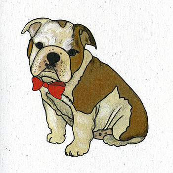 Illustrated Bulldog Boy Pup Blank Card, 2 of 4