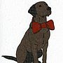 Illustrated Chocolate Labrador Blank Card, thumbnail 2 of 4