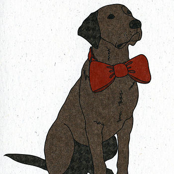 Illustrated Chocolate Labrador Blank Card, 2 of 4