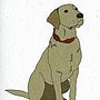 Illustrated Yellow Labrador Blank Card, thumbnail 2 of 4
