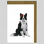 Illustrated Border Collie Blank Card, thumbnail 1 of 4