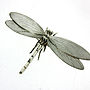 Sterling Silver Dragonfly Brooch, thumbnail 2 of 6