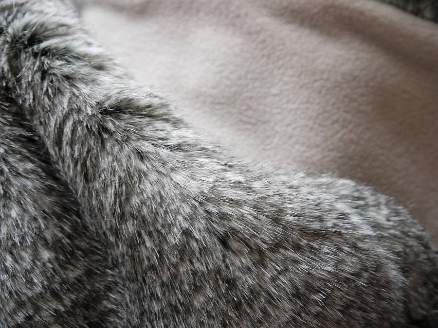 squirrel faux fur pet blanket by charley chau | notonthehighstreet.com
