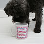 Personalised 'From Your Pet' Mug, thumbnail 1 of 3