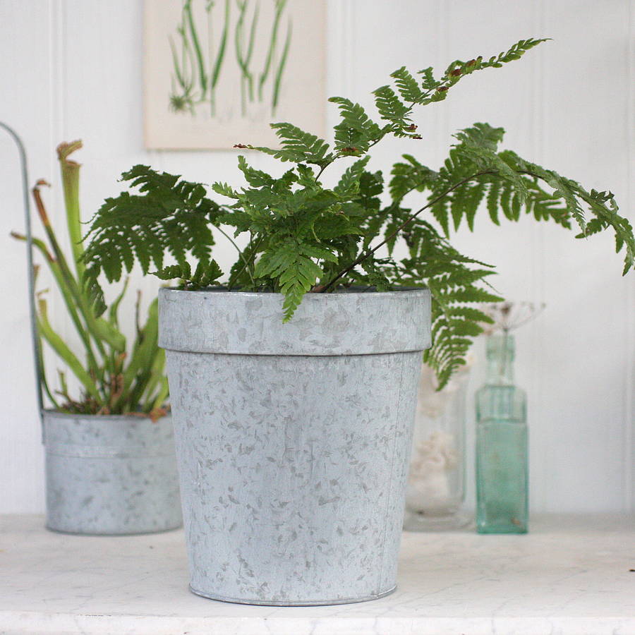 Zinc Plant Pot By Magpie Living