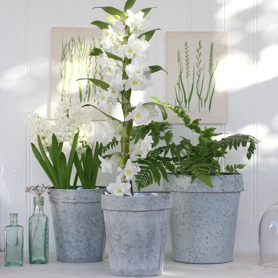 Zinc Plant Pot By Magpie Living