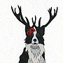 Illustrated Border Collie Blank Card, thumbnail 4 of 4