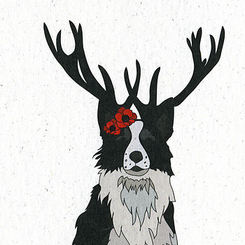 Illustrated Border Collie Blank Card, 4 of 4