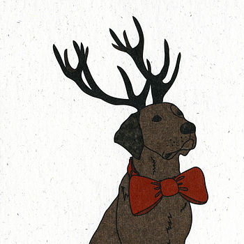 Illustrated Chocolate Labrador Blank Card, 4 of 4
