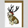Illustrated Bulldog Girl Pup Blank Card, thumbnail 3 of 4