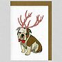 Illustrated Bulldog Boy Pup Blank Card, thumbnail 3 of 4