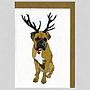 Illustrated Boxer Dog Blank Card, thumbnail 3 of 4