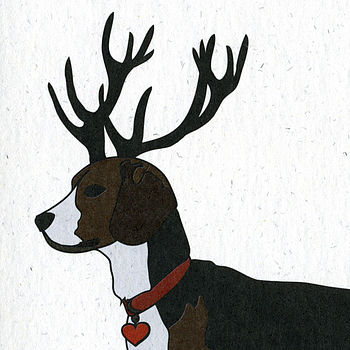 Illustrated Beagle Blank Card, 4 of 4