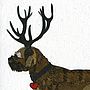 Illustrated Grizzle Border Terrier Blank Card, thumbnail 4 of 4