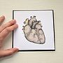 Anatomical Heart Illustration Valentines Card, thumbnail 6 of 6