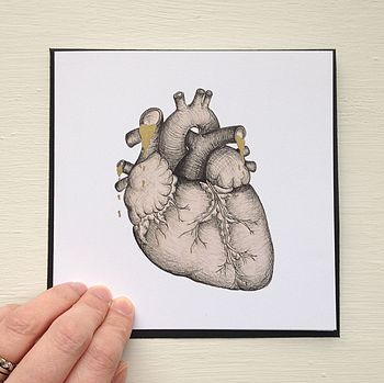Anatomical Heart Illustration Valentines Card By Cherry Pie Lane ...
