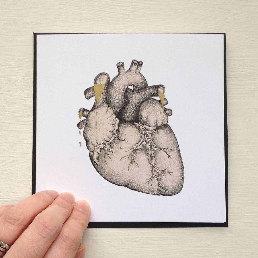 Anatomical Heart Illustration Valentines Card By Cherry Pie Lane