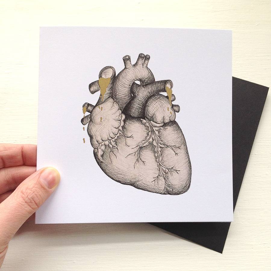 Anatomical Heart Illustration Valentines Card By Cherry Pie Lane ...