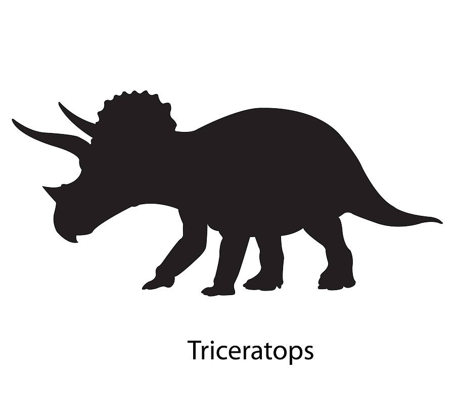 dinosaur vinyl wall 'sticko'saurus pack by lauren moriarty & co