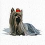 Illustrated Yorkshire Terrier Blank Card, thumbnail 2 of 4