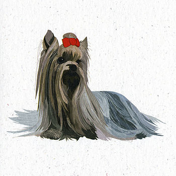 Illustrated Yorkshire Terrier Blank Card, 2 of 4