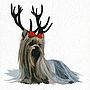 Illustrated Yorkshire Terrier Blank Card, thumbnail 4 of 4