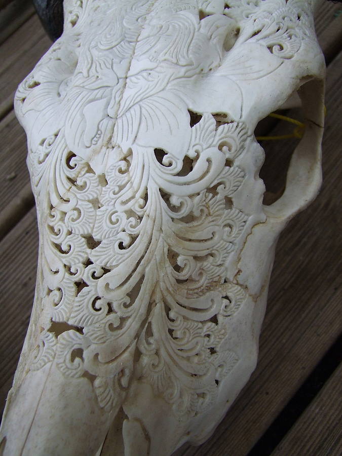 Hand Carved Indonesian Cow Skull By Bobby Rocks | notonthehighstreet.com