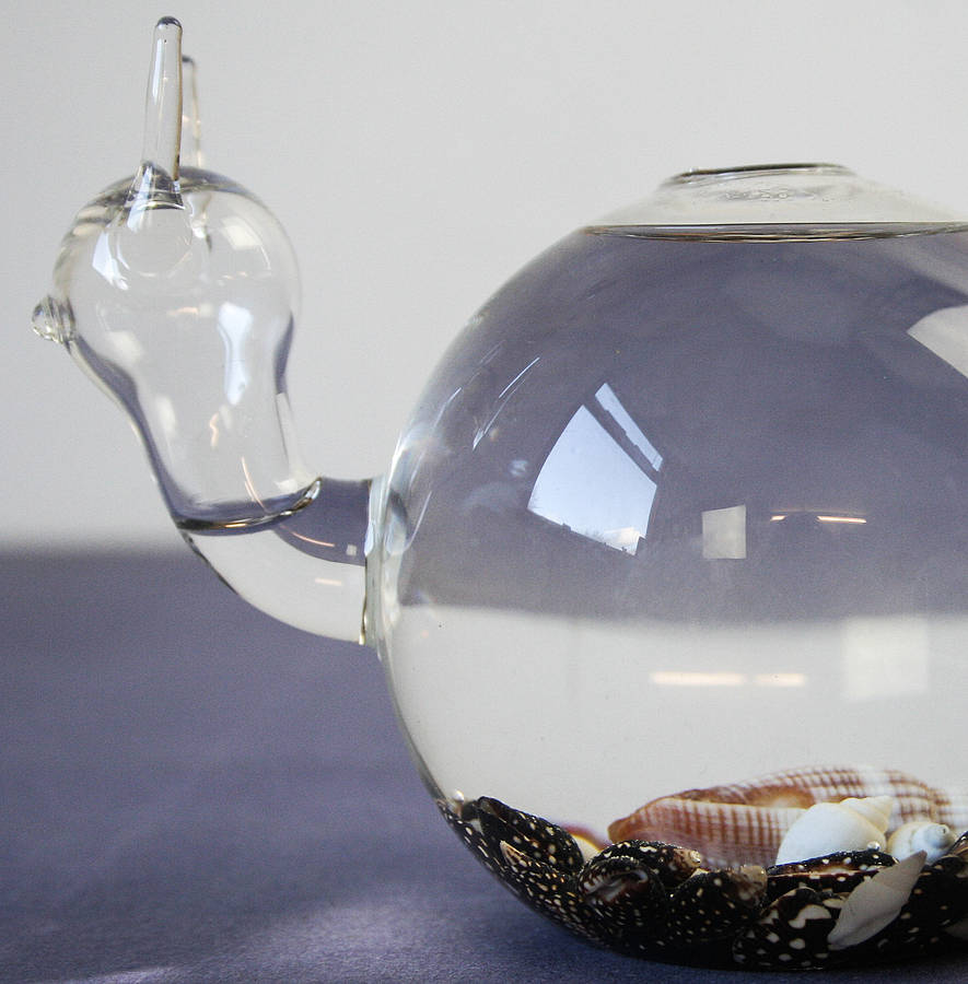 Handblown Glass Snail Vase Terrarium By Bonnie and Bell