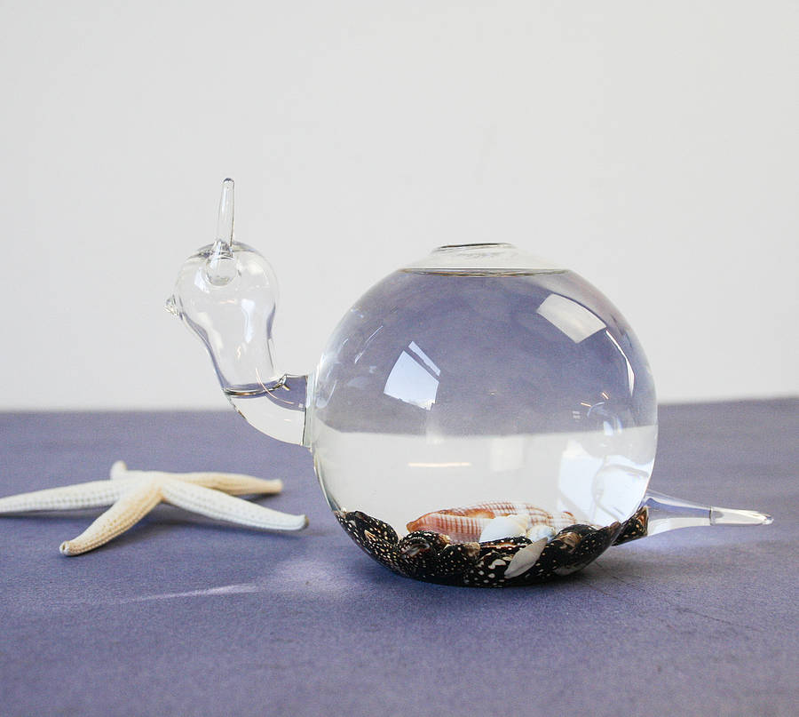 Handblown Glass Snail Vase Terrarium By Bonnie and Bell