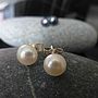 Freshwater Pearl And Sterling Silver Studs, thumbnail 3 of 9