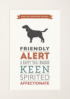 English Springer Spaniel Breed Traits Print, 5 of 5