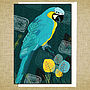 Macaw Greetings Card, thumbnail 1 of 2
