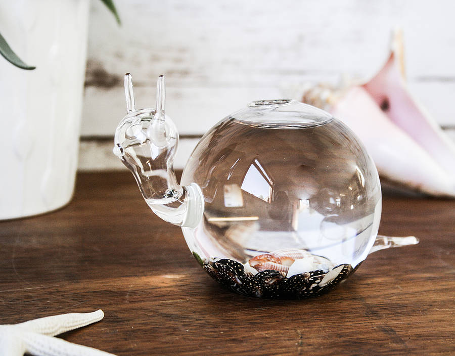 Handblown Glass Snail Vase Terrarium By Bonnie and Bell
