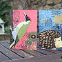 Green Woodpecker Greetings Card, thumbnail 2 of 3