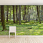Woodland Forest Self Adhesive Wallpaper, thumbnail 1 of 4