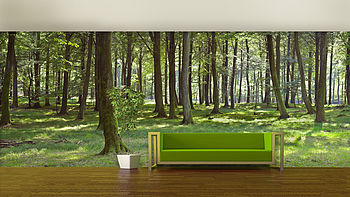 Woodland Forest Self Adhesive Wallpaper, 2 of 4