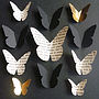 Bespoke Small Butterfly Collection Artwork, thumbnail 5 of 9