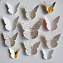 Bespoke Small Butterfly Collection Artwork, thumbnail 7 of 9