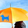 Personalised Dog Umbrella, thumbnail 2 of 9