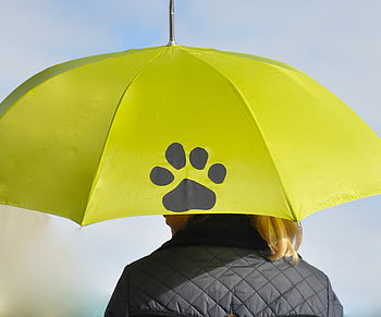 Personalised Dog Umbrella, 4 of 9