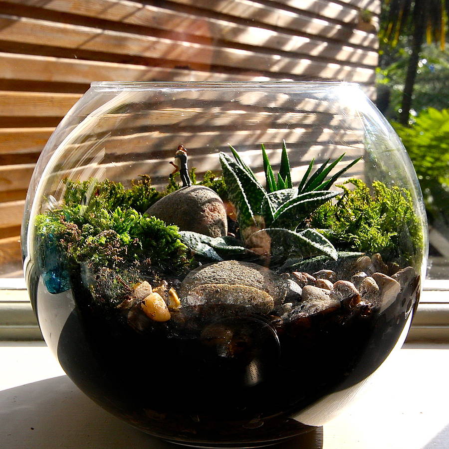 Terrarium Kit The Lovers By London Garden Trading Notonthehighstreet Terrarium Kit The Lovers By London Garden Trading Notonthehighstreet